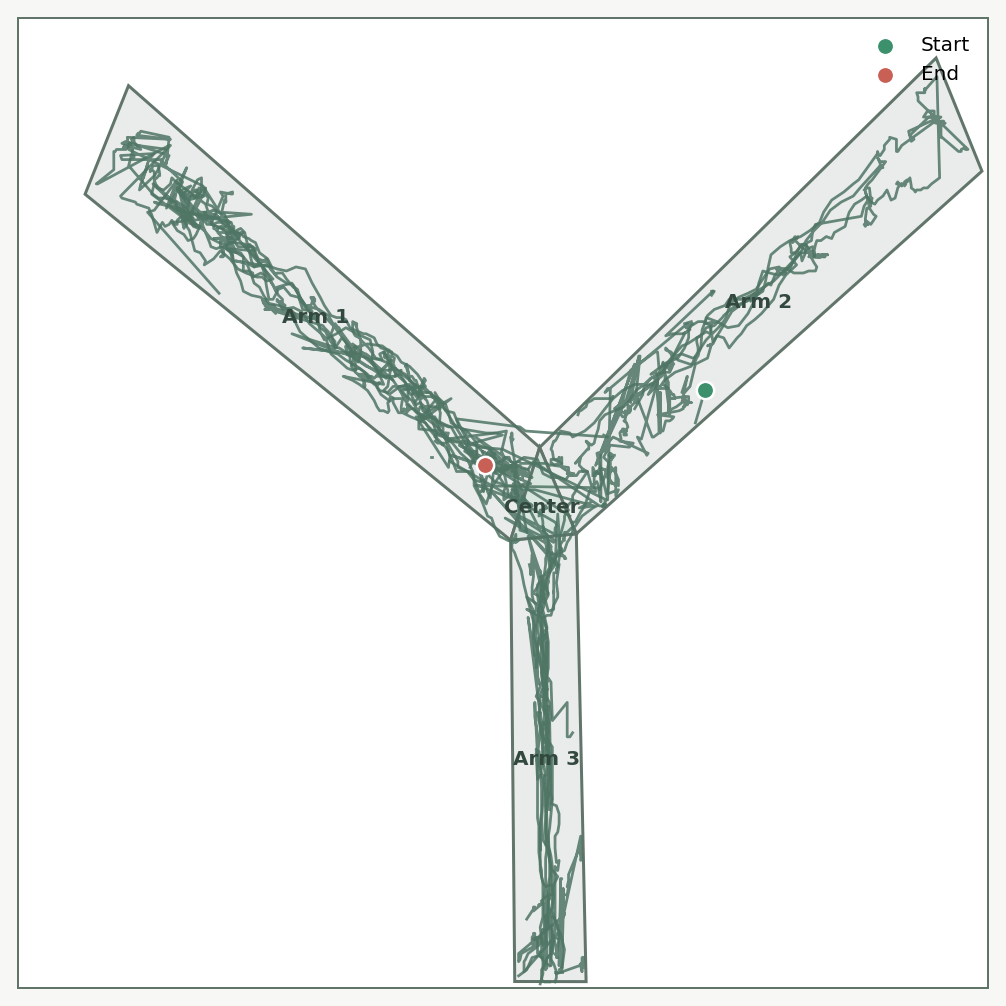Movement trajectory from a completed RodentMetrics Y-Maze analysis